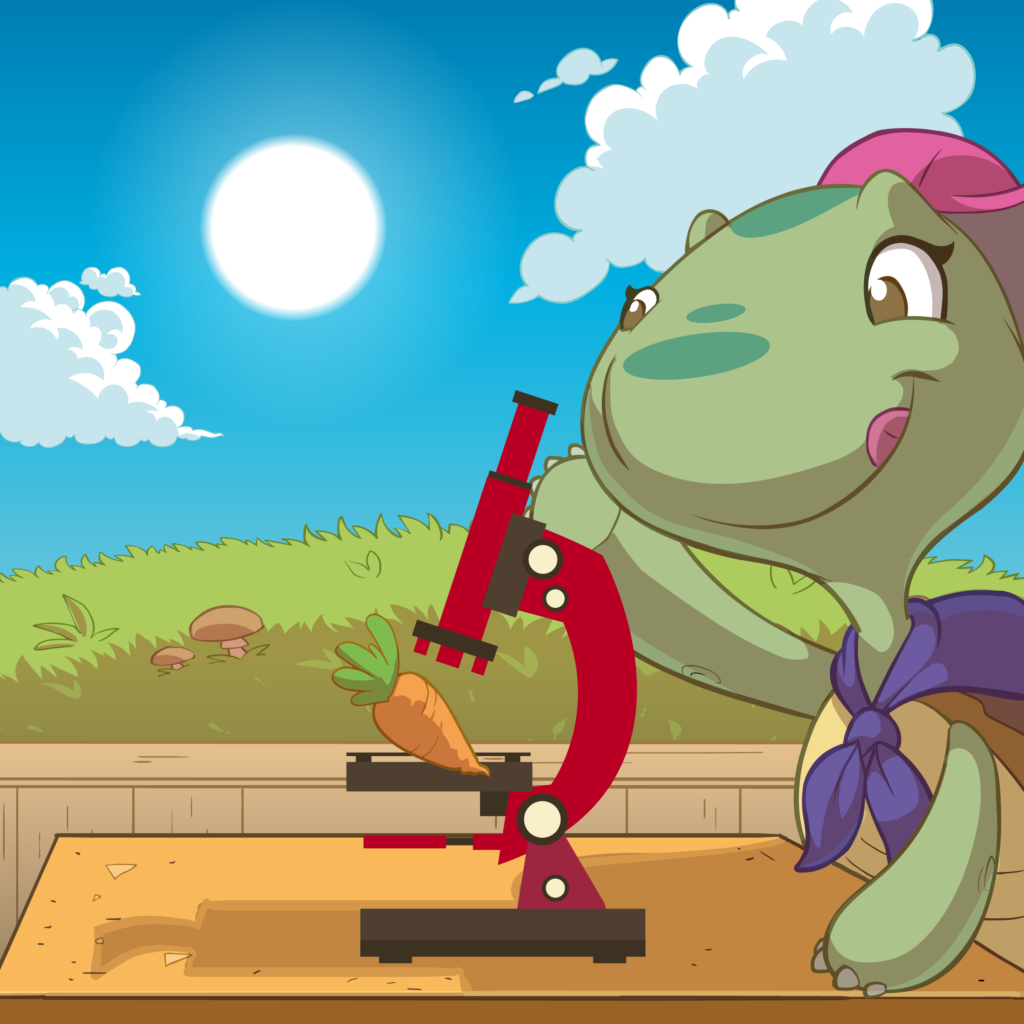 Sicurezza alimentare: corrette abitudini