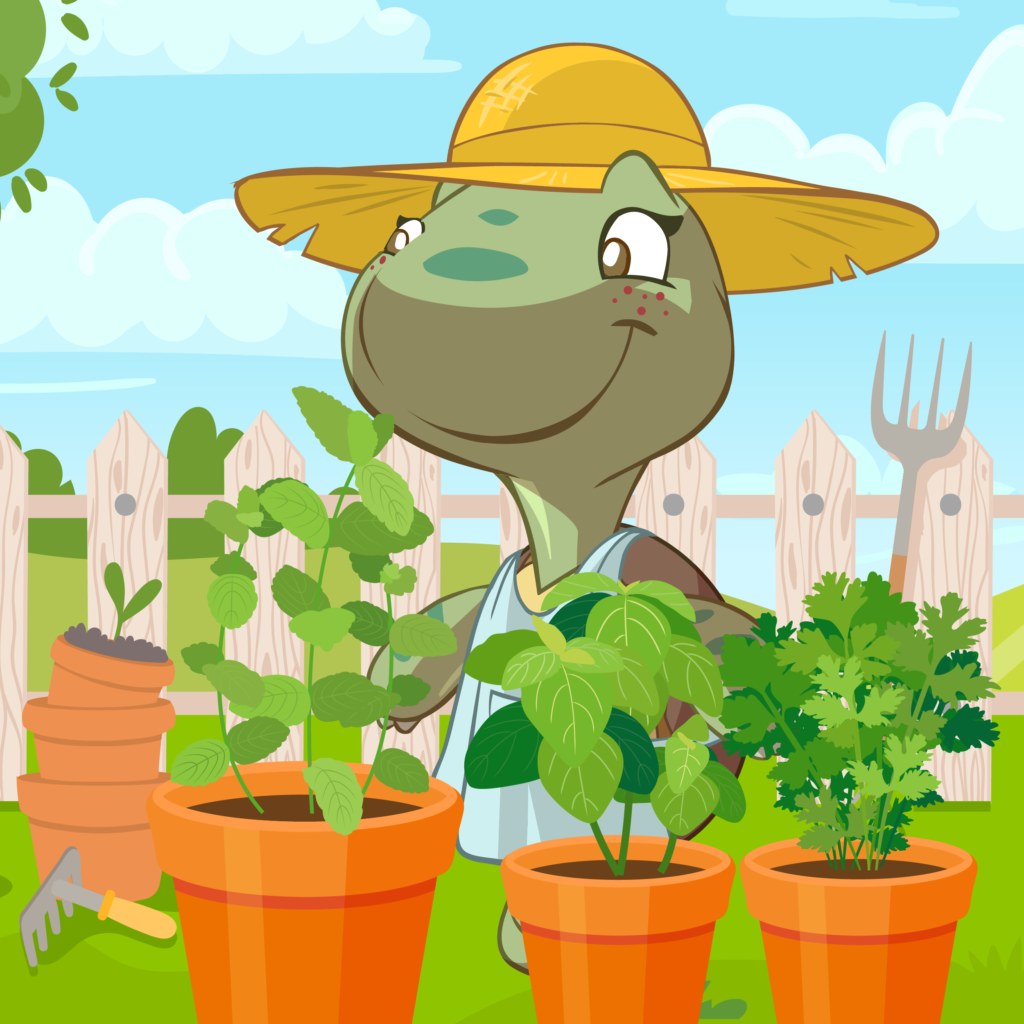 Erbe aromatiche: le alleate del sapore